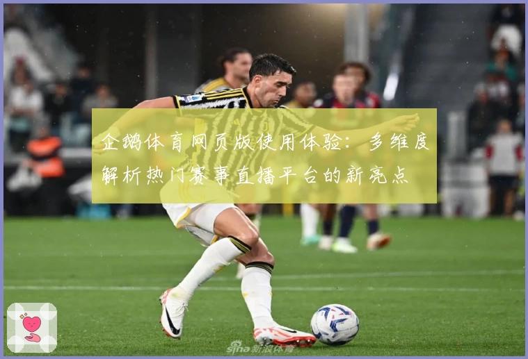 企鹅体育网页版使用体验:多维度解析热门赛事直播平台的新亮点