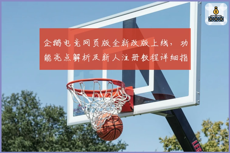 企鹅电竞网页版全新改版上线,功能亮点解析及新人注册教程详细指南