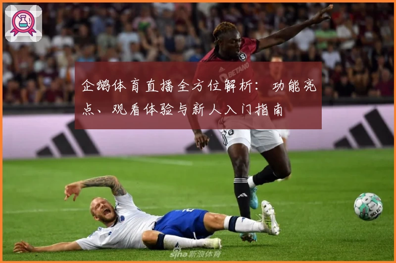 企鹅体育直播全方位解析：功能亮点、观看体验与新人入门指南
