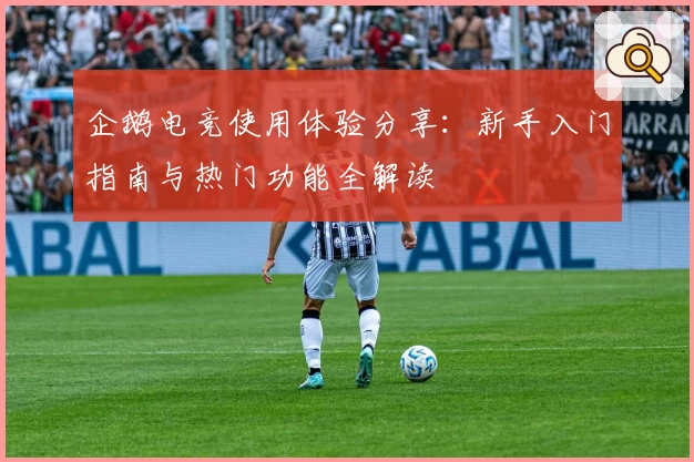 企鹅电竞使用体验分享：新手入门指南与热门功能全解读