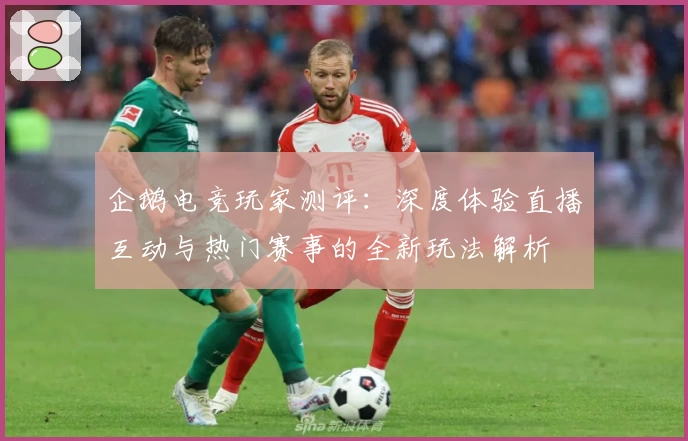 企鹅电竞玩家测评：深度体验直播互动与热门赛事的全新玩法解析