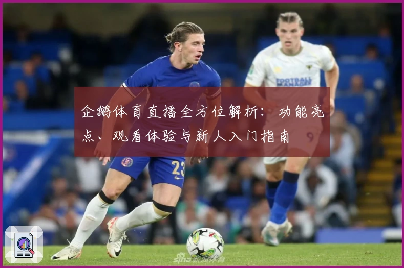 企鹅体育直播全方位解析：功能亮点、观看体验与新人入门指南