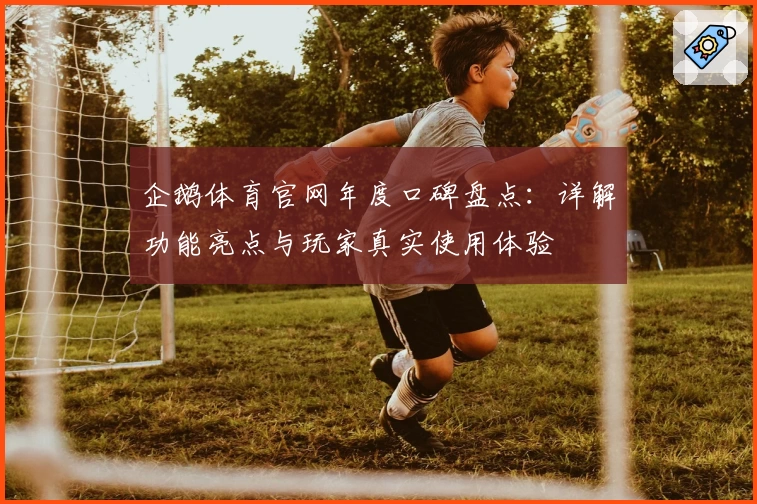 企鹅体育官网年度口碑盘点：详解功能亮点与玩家真实使用体验