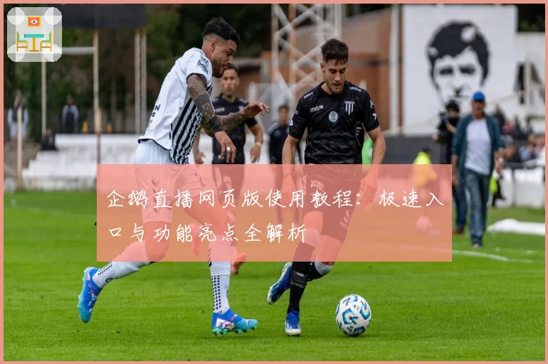 企鹅直播网页版使用教程：极速入口与功能亮点全解析