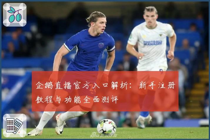 企鹅直播官方入口解析：新手注册教程与功能全面测评