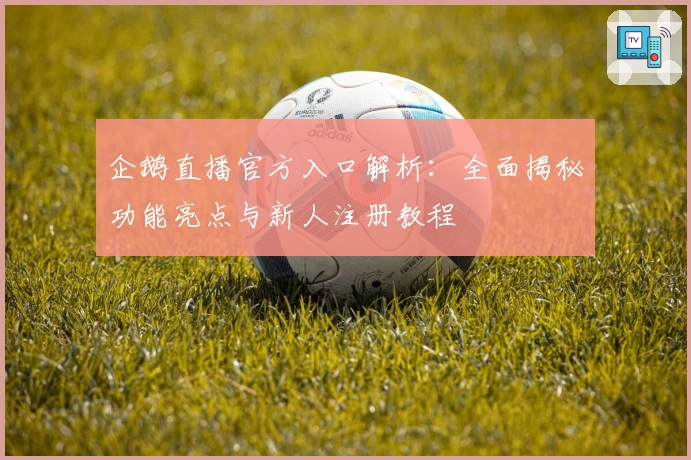 企鹅直播官方入口解析：全面揭秘功能亮点与新人注册教程